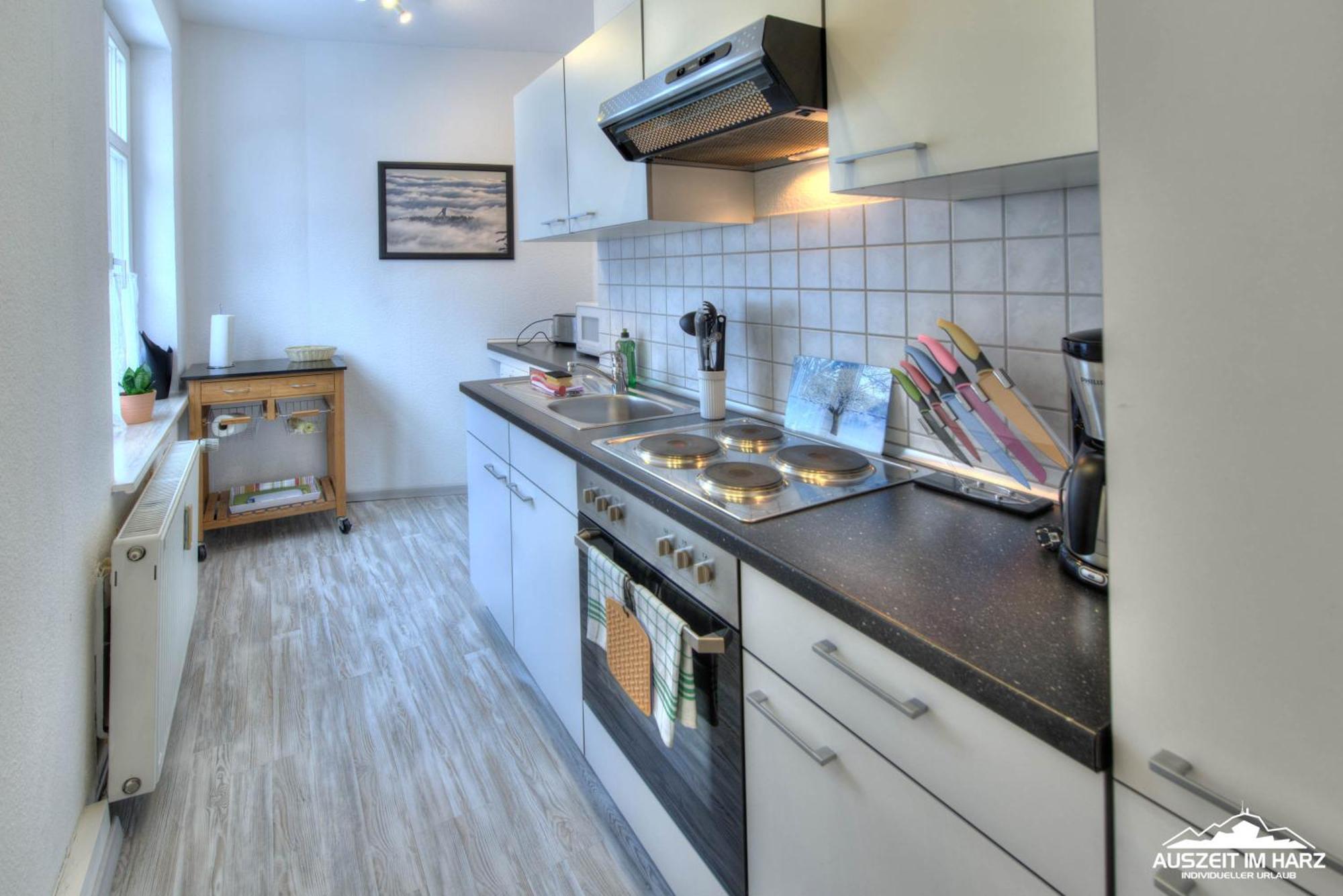 Auszeit Im Harz Haus 1 Wohnung Feuerstein Schierke Zewnętrze zdjęcie
